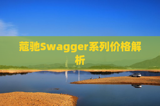 蔻驰Swagger系列价格解析